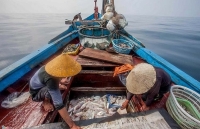 Khắc phục “thẻ vàng” IUU: Mấu chốt là chống khai thác trái phép
