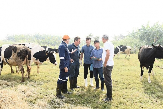 Cô gái Hà Lan tự hào có nguồn sữa nguyên liệu lớn và an toàn hơn chuẩn 11 lần co gai ha lan tu hao co nguon sua nguyen lieu lon va an toan hon chuan 11 lan