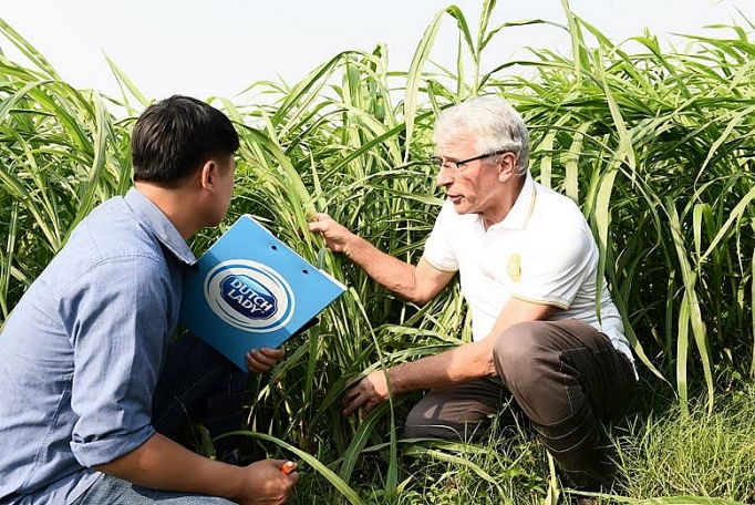 Cô gái Hà Lan tự hào có nguồn sữa nguyên liệu lớn và an toàn hơn chuẩn 11 lần co gai ha lan tu hao co nguon sua nguyen lieu lon va an toan hon chuan 11 lan