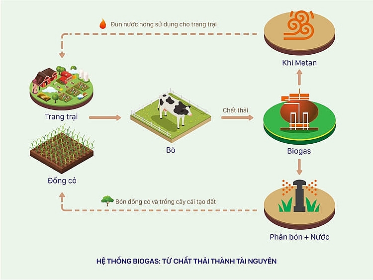 Mô hình “kinh tế tuần hoàn” ứng dụng trong hệ thống Biogas và vòng tròn quản lý nguồn đất bền vững tại các trang trại bò sữa Vinamilk 1456-hinh-2a