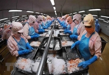 Xuất khẩu nông, lâm, thủy sản có khả năng vượt 47 tỷ USD