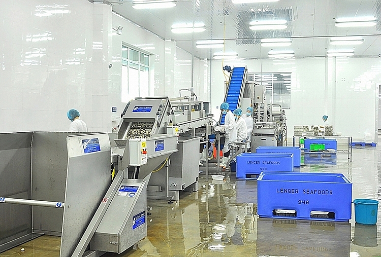 Dây chuyền chế biến, đóng gói nghêu xuất khẩu của Công ty TNHH Thuỷ sản Lenger Việt Nam Dây chuyền chế biến, đóng gói nghêu xuất khẩu của Công ty TNHH Thuỷ sản Lenger Việt Nam