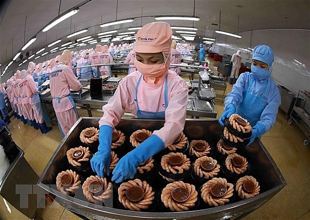 Một doanh nghiệp chế biến tôm xuất khẩu