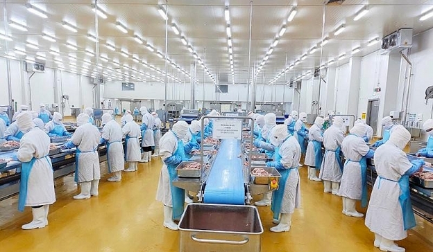 Sản xuất thịt gà chế biến tại Nhà máy CPV Food Bình Phước (Công ty cổ phần Chăn nuôi C.P.Việt Nam). ( Sản xuất thịt gà chế biến tại Nhà máy CPV Food Bình Phước (Công ty cổ phần Chăn nuôi C.P.Việt Nam). (