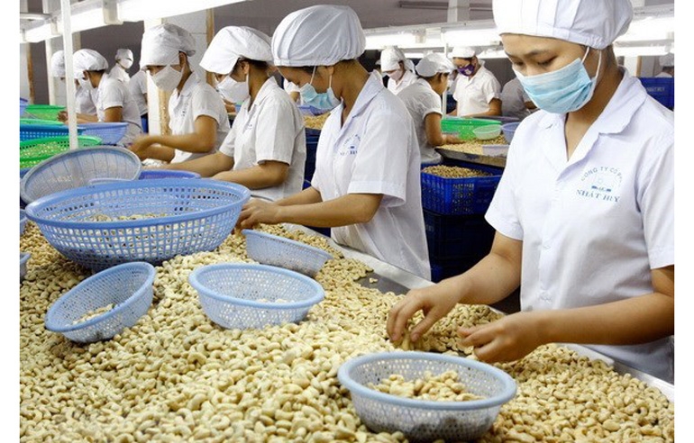 phat trien cong nghiep che bien nang cao chuoi gia tri nong san