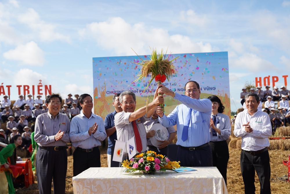 Ngành gạo tận dụng hiệu quả Hiệp định EVFTA nganh gao tan dung hieu qua hiep dinh evfta