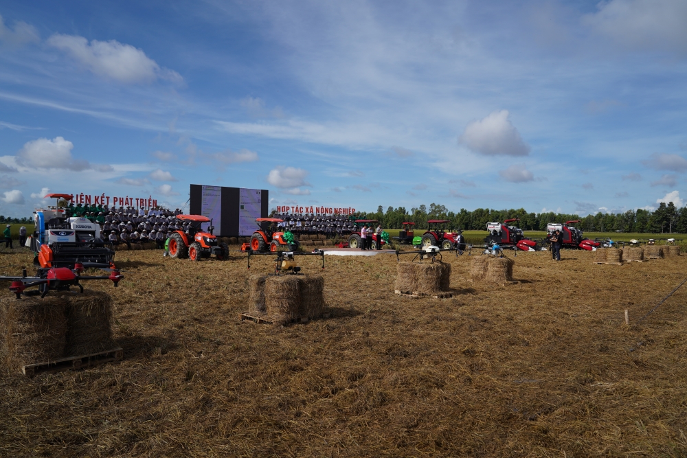 Ngành gạo tận dụng hiệu quả Hiệp định EVFTA nganh gao tan dung hieu qua hiep dinh evfta