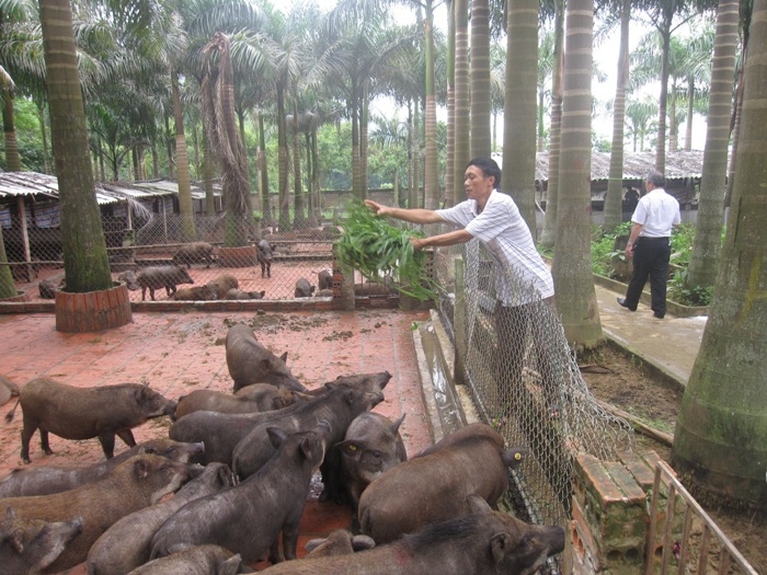 ha noi huong di hieu qua cua hop tac xa nong nghiep