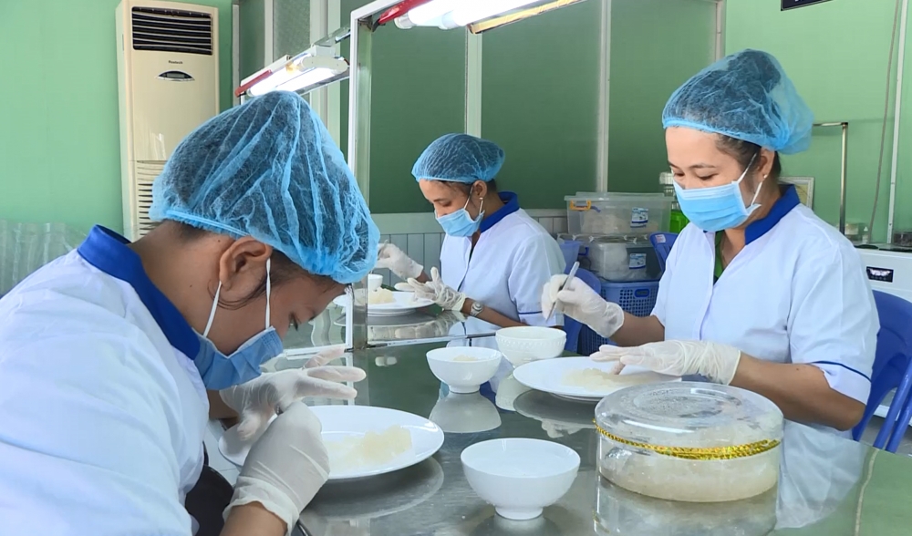 Ngành yến: Quy hoạch để phát triển bền vững nganh yen quy hoach de phat trien ben vung