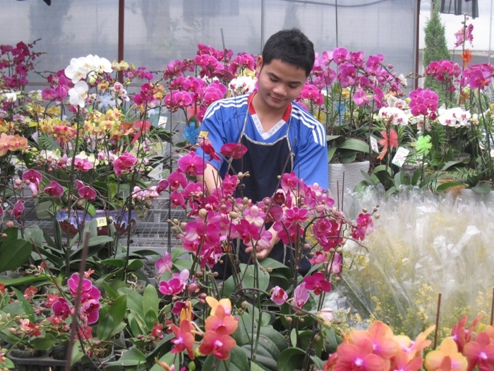 ha noi huong di hieu qua cua hop tac xa nong nghiep