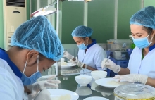 Ngành yến: Quy hoạch để phát triển bền vững