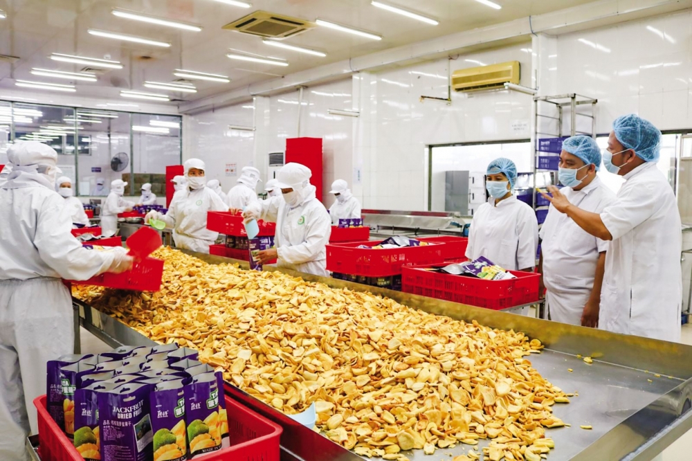 Trái cây Đồng bằng sông Cửu Long: Tìm giải pháp tiêu thụ ổn định trai cay dong bang song cuu long tim giai phap tieu thu on dinh