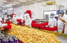 Trái cây Đồng bằng sông Cửu Long: Tìm giải pháp tiêu thụ ổn định