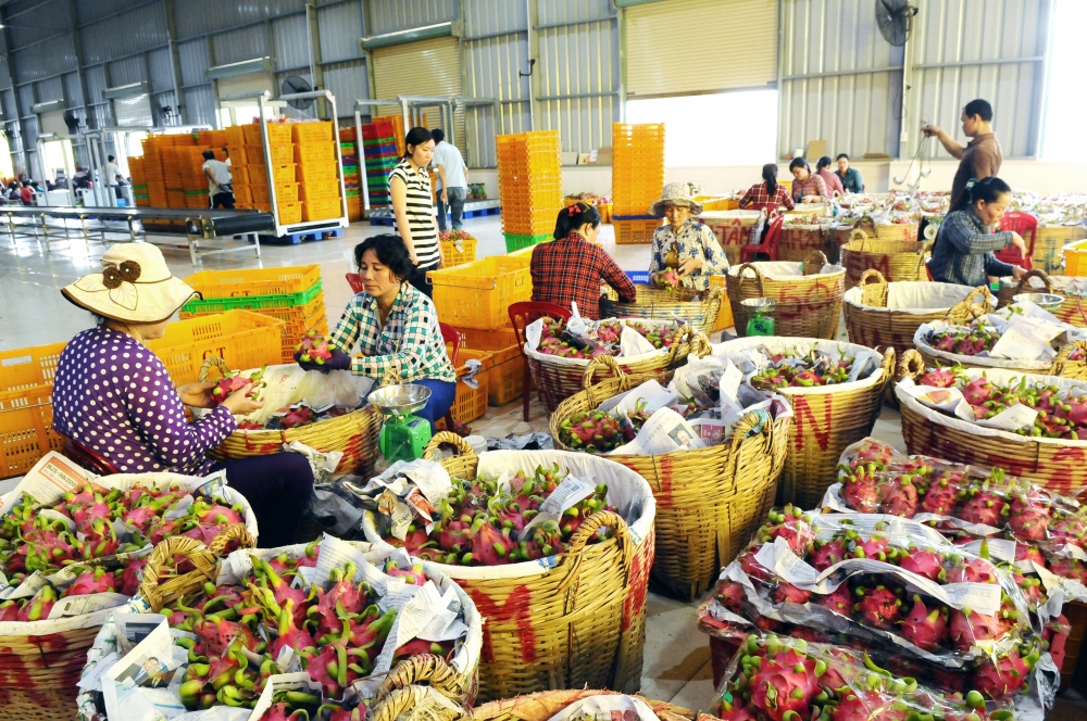 potential grows for vegetable and fruit exports to the us