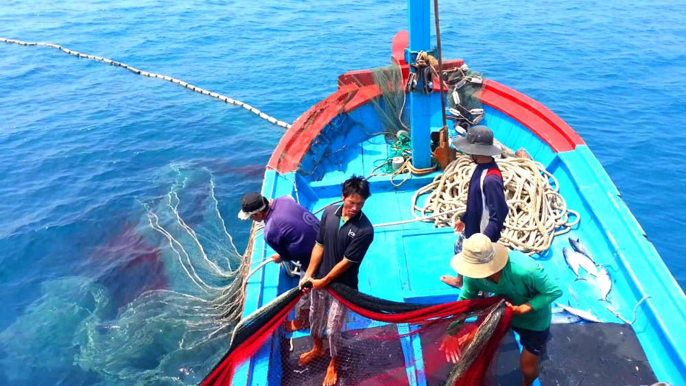 vietnam strives to avoid eu red card over illegal fishing