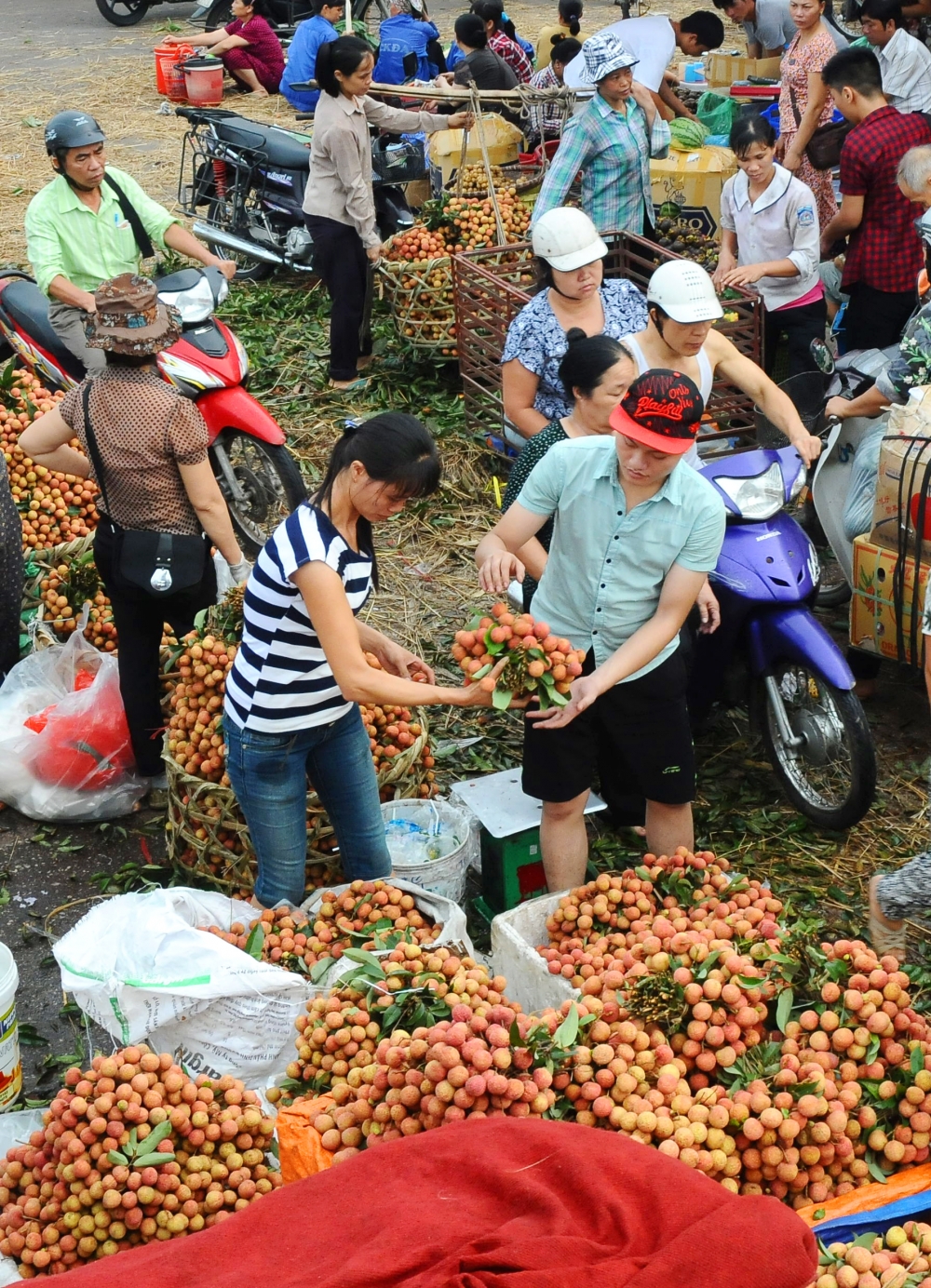 Agro-forestry-fishery sector seeks new export opportunities agro forestry fishery sector seeks new export opportunities