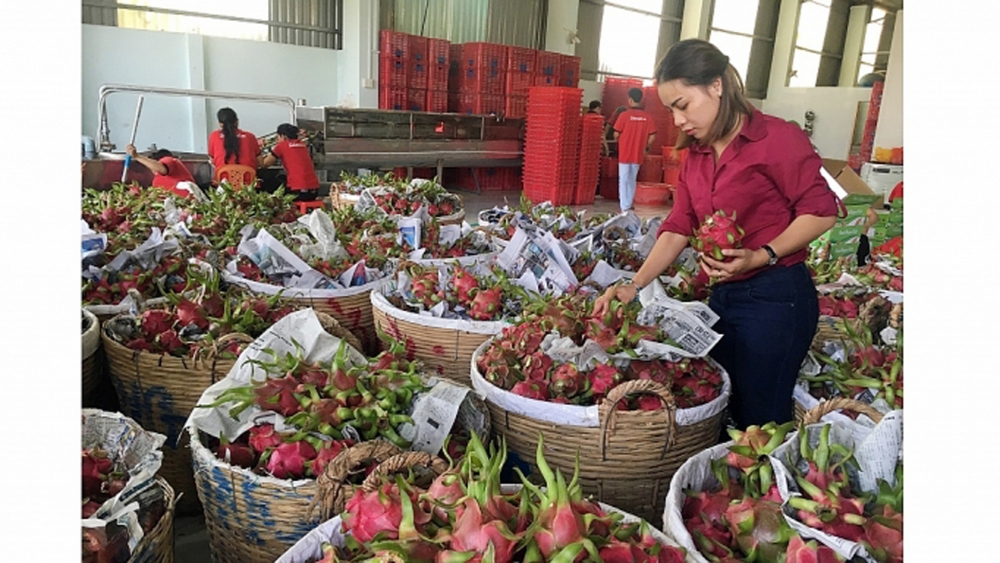 origin traceability needed to boost exports to the eu