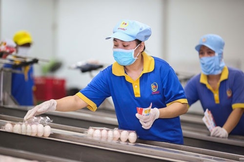 improving business climate critical to post pandemic growth