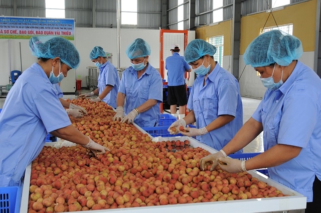 state needs solutions to reduce logistics cost for farm produce