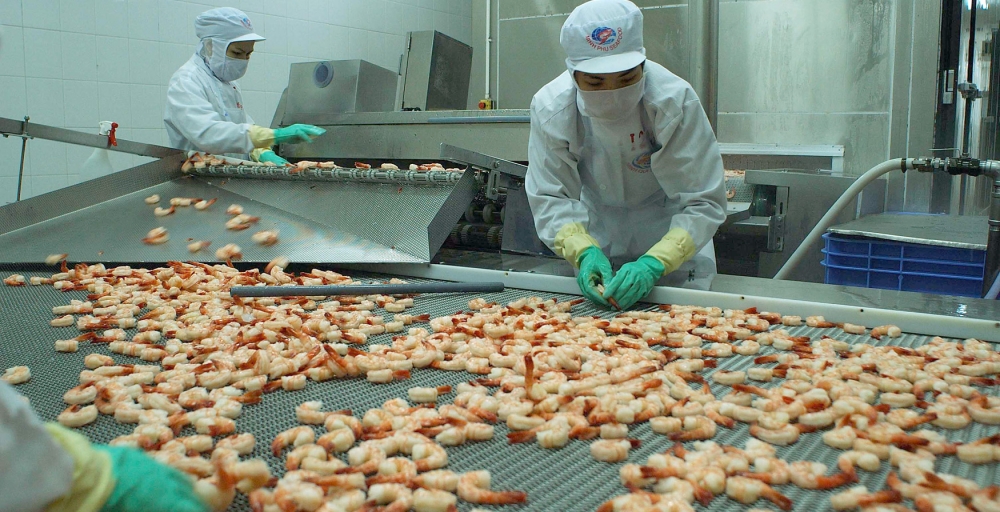 enterprises prepare to boost seafood exports to the eu