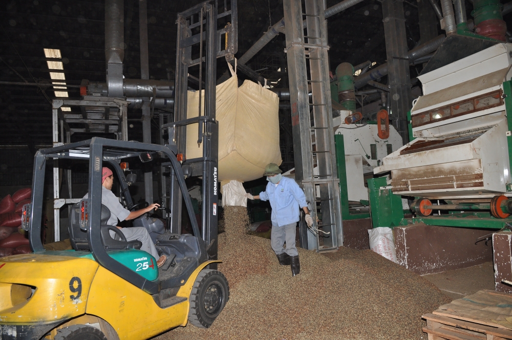 Dak Lak rural enterprises wake up and smell the coffee dak lak rural enterprises wake up and smell the coffee