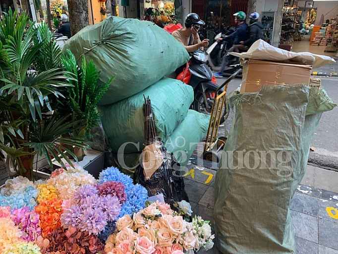 thi truong hoa gia nhon nhip don tet canh ty 2020