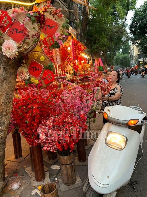 thi truong hoa gia nhon nhip don tet canh ty 2020