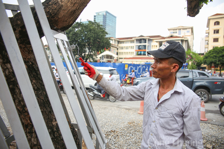 ha noi hang chuc cay sua do quy hiem duoc bao ve nghiem ngat