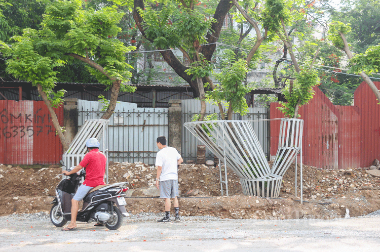 ha noi hang chuc cay sua do quy hiem duoc bao ve nghiem ngat