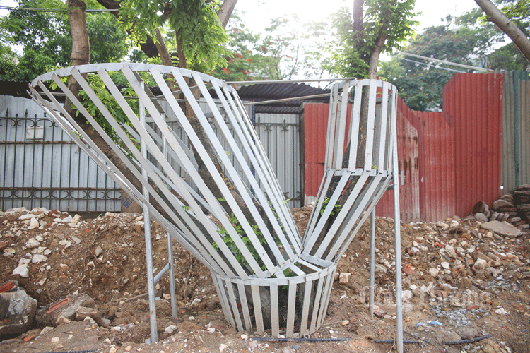 ha noi hang chuc cay sua do quy hiem duoc bao ve nghiem ngat