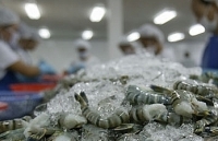 Mỹ công bố thuế bán phá giá với tôm Việt còn 0%