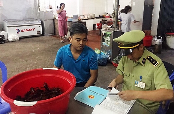 Quản lý thị trường Quảng Ninh xử lý 2 cửa hàng vi phạm kinh doanh tôm càng đỏ quan ly thi truong quang ninh xu ly 2 cua hang vi pham kinh doanh tom cang do