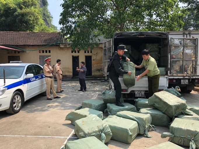 Phát hiện hơn 2,3 tấn nầm lợn nhập lậu từ Trung Quốc phat hien hon 23 tan nam lon nhap lau tu trung quoc