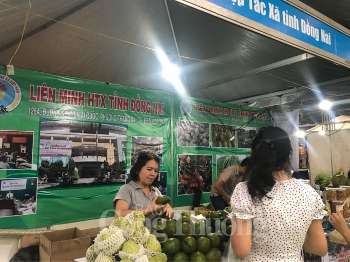 khai mac hoi cho xuc tien thuong mai cho cac hop tac nam 2019 tai tp ho chi minh