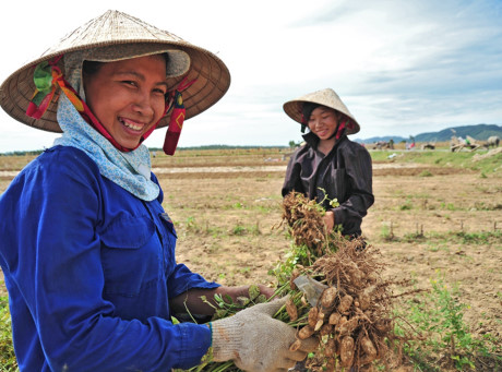 Image result for Hỗ trợ phụ nữ phát triển kinh tế, thoát nghèo