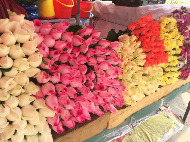 Giá hồng Đà Lạt hiện đang khoảng 5.000 - 7.000 đồng/bông