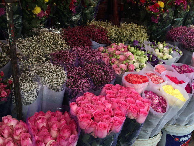 Các loại hồng nhập khẩu có giá khá cao