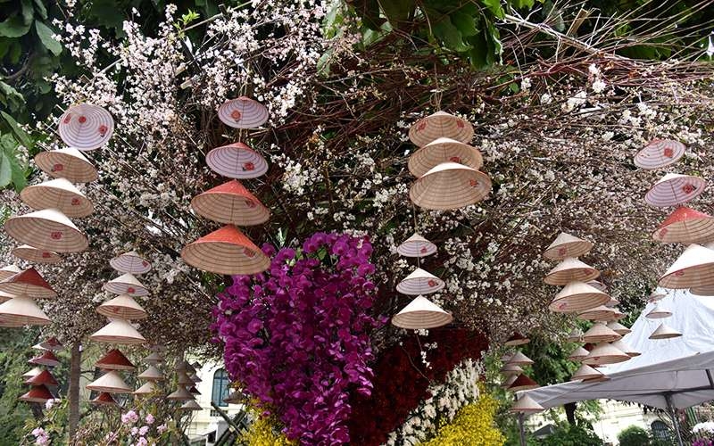 le hoi hoa anh dao nhat ban ha noi keo dai them 1 ngay