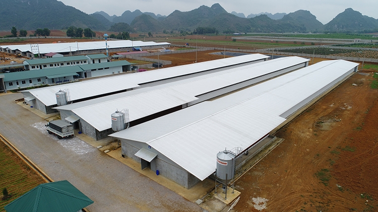 NS BlueScope Lysaght Vietnam partners up with SKIOLD