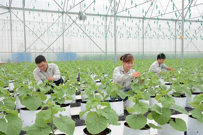 The PAN Group: Xác lập dấu mốc mới về doanh thu và tổng tài sản the pan group xac lap dau moc moi ve doanh thu va tong tai san