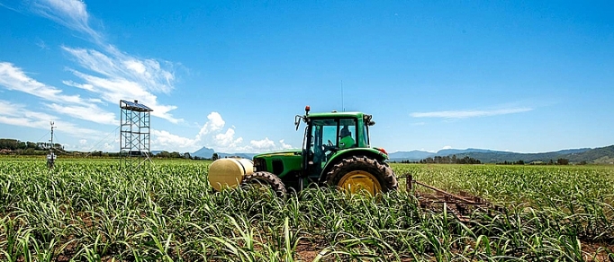 Chính sách cho ngành mía đường: Bài toán khó giải? Kỳ 2: Chính sách tại các nước khác trên thế giới chinh sach cho nganh mia duong bai toan kho giai ky 2 chinh sach tai cac nuoc khac tren the gioi