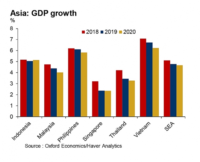Tăng trưởng GDP Đông Nam Á giảm còn 4,8% năm 2019 tang truong gdp dong nam a giam con 48 nam 2019