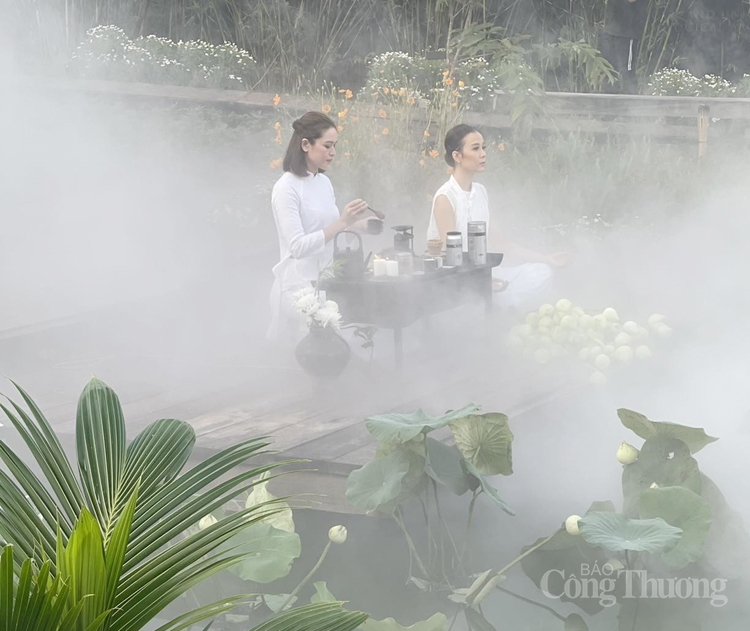 Trải nghiệm nghệ thuật sống tỉnh thức tại Thành phố Cà phê