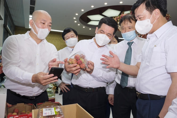 Bộ Công Thương tiếp tục đồng hành cùng Hải Dương trong tiêu thụ vải thiều và nông sản