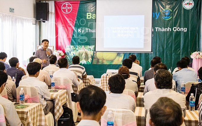 chuong trinh dao tao bayer agricademy cho nong dan nang tam chat luong trai cay va ca phe xuat khau