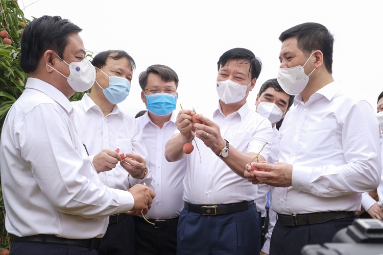 Tiêu thụ nông sản- Khi thị trường nội địa lĩnh “ấn” tiên phong Tiêu thụ nông sản- Khi thị trường nội địa lĩnh “ấn” tiên phong