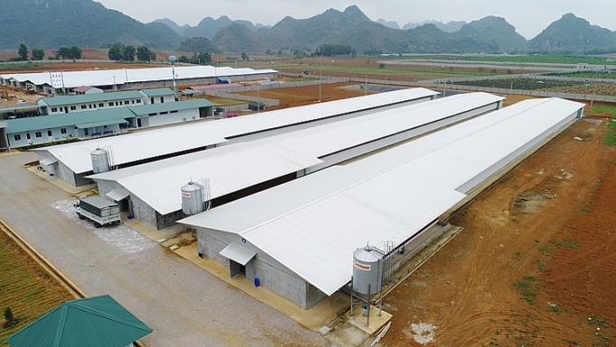 bluescope lysaght day manh kinh doanh tai thi truong phia bac