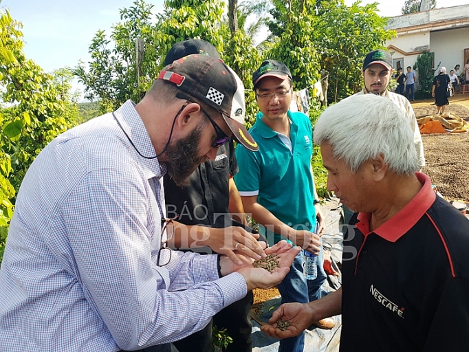 cong ty nestle viet nam xay dung chuoi san xuat ca phe ben vung