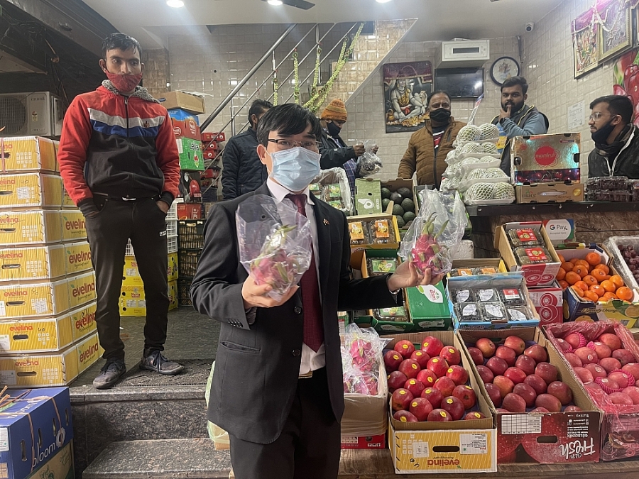 “Bày cách” để thanh long Việt Nam chinh phục thị trường Ấn Độ “Bày cách” để thanh long Việt Nam chinh phục thị trường Ấn Độ