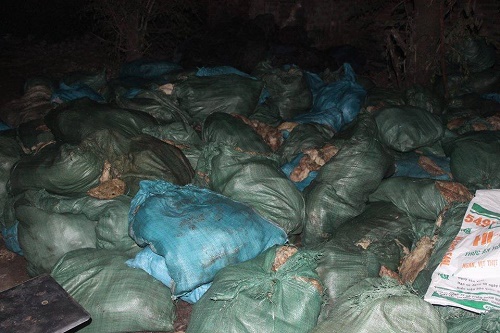 Mỡ bẩn chưa chế biến vứt la liệt trên sàn đất